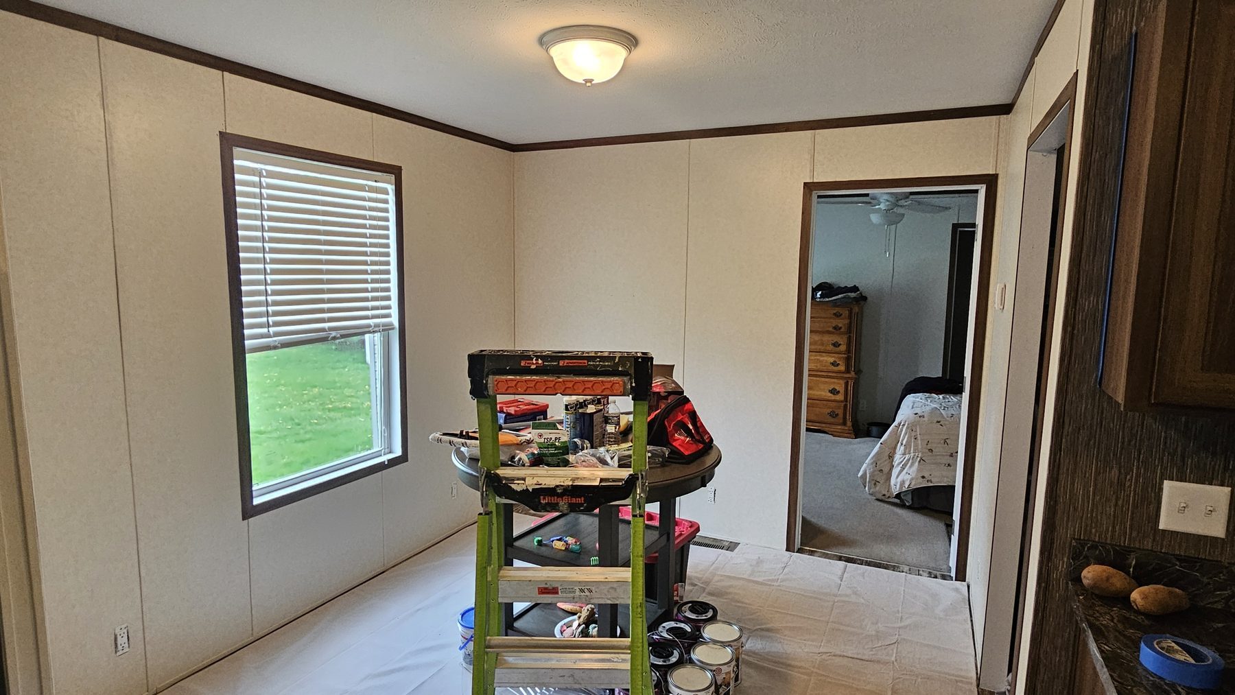 Before: Dining room repaint - Whitmore Lake