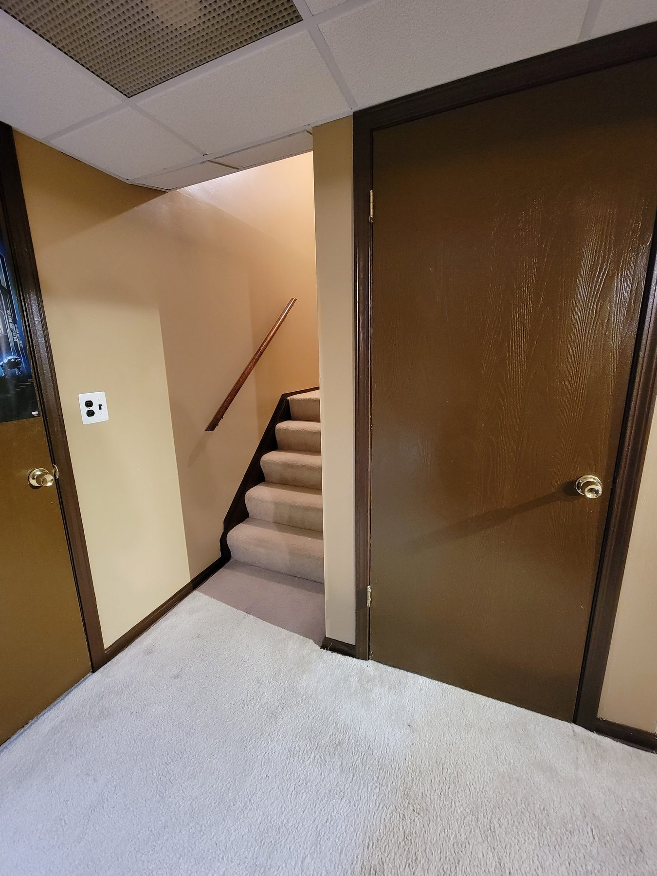 Painted baseboard, casing and door — Home Strategy LLC, Michigan