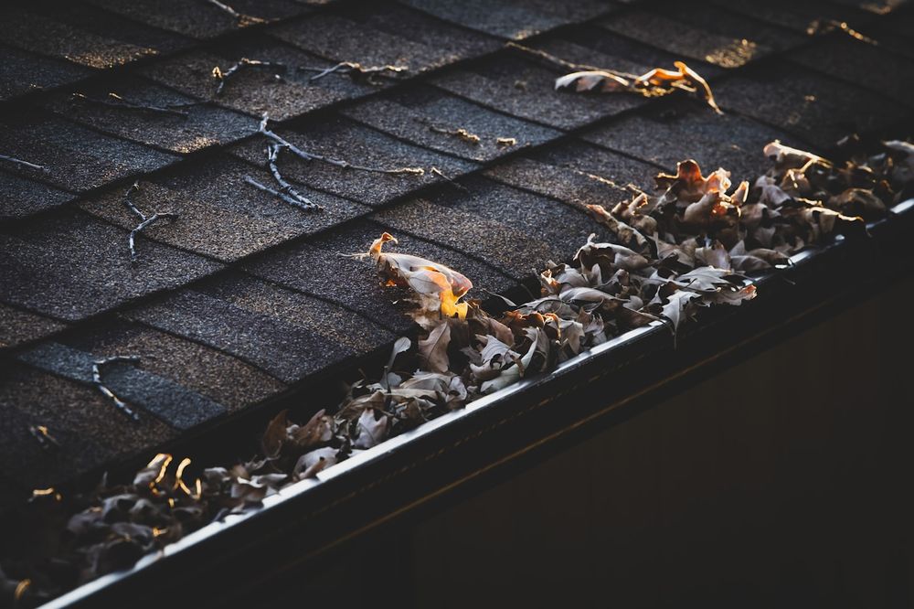 Gutter Cleaning & Downspout Flush — Home Strategy LLC
