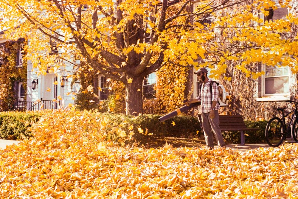 Leaf Removal to the Curb — Home Strategy LLC